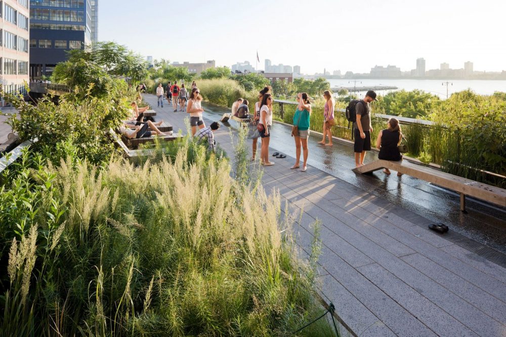 The High Line Park, Manhattan. Photo by Diller Scofidio + Renfro